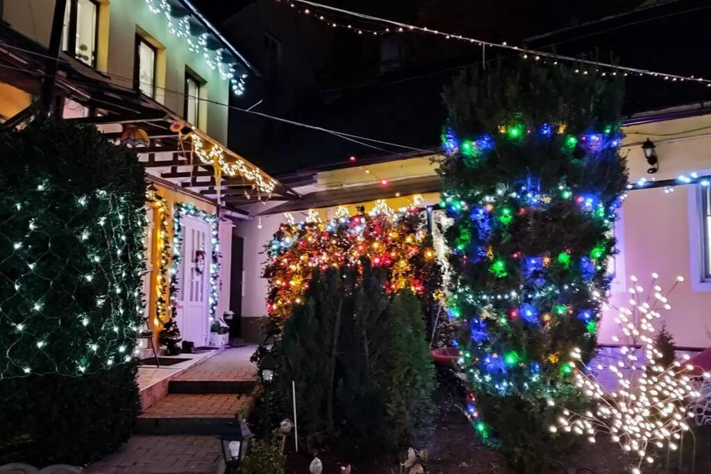Color Home Hermannstadt 1 Екстериор снимка