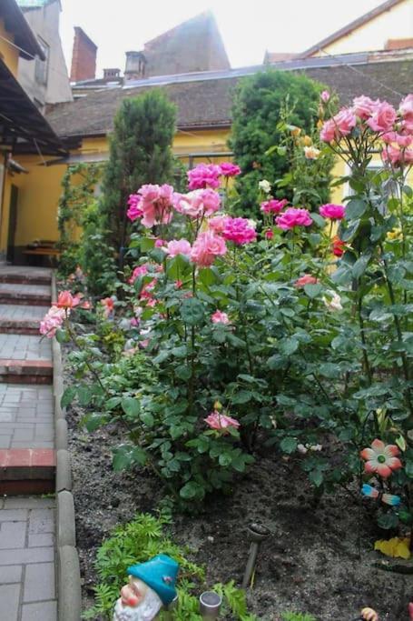 Color Home Hermannstadt 1 Екстериор снимка